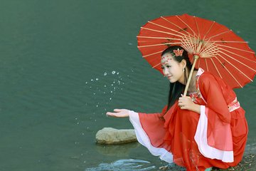 大树杜鹃、漾濞槭、华盖木……中国让这些极小种群物种“逆天改命”